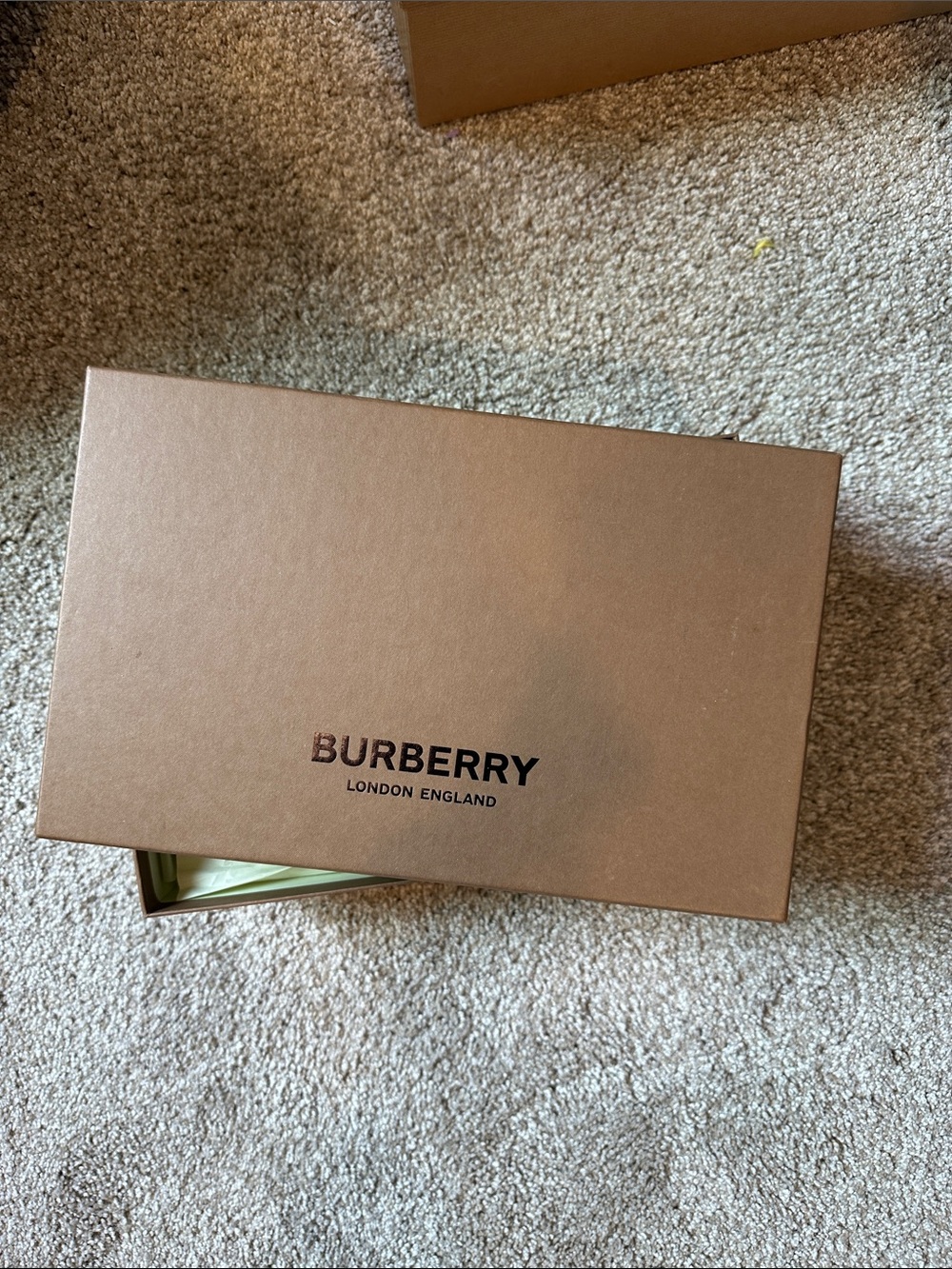 Burberry Brown/Tan Logo Shoe Box